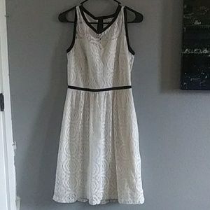 Lace Dress